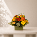Sunshine Box