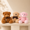 Medium Sized Bear